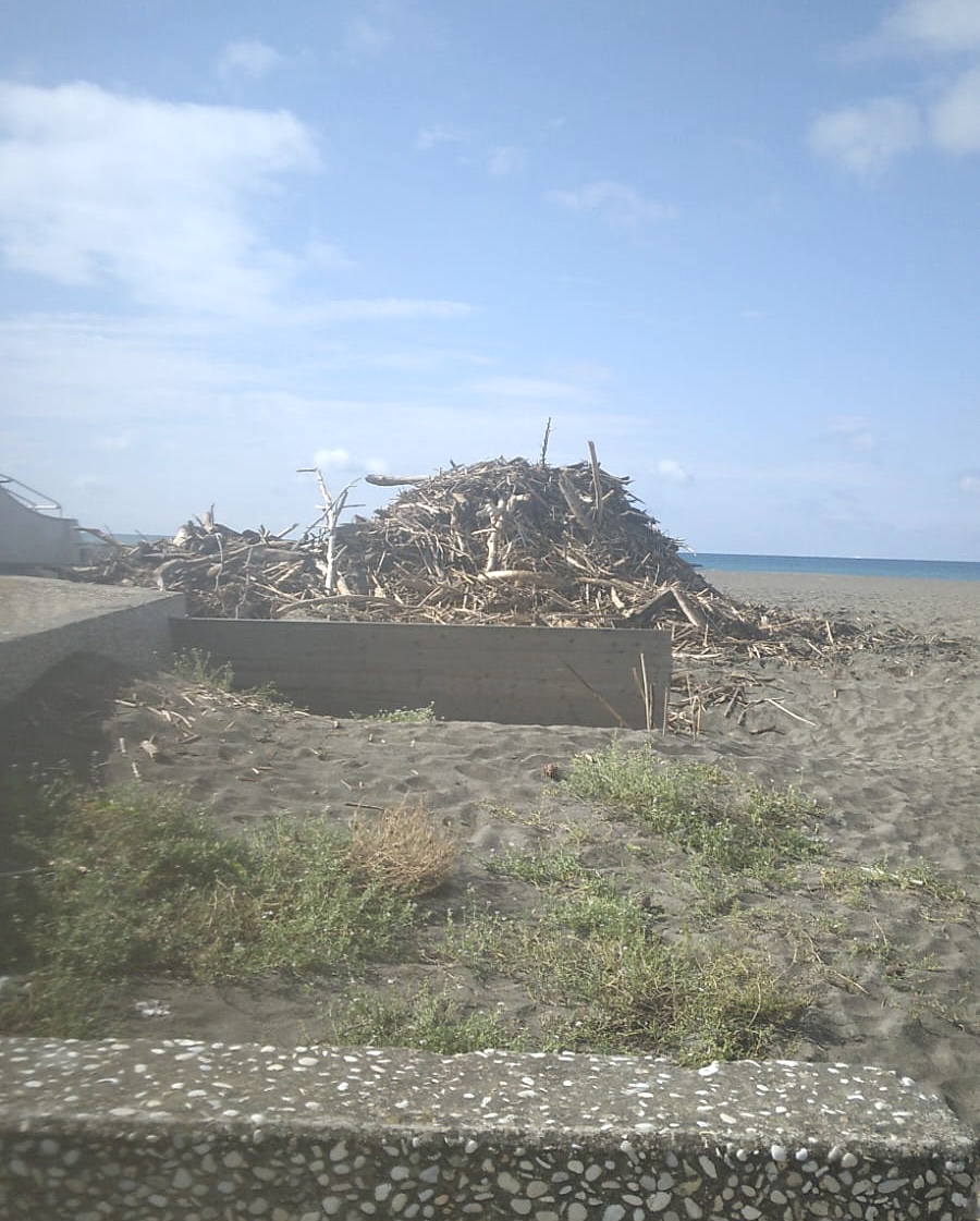 Montalto: “Nella Giornata Mondiale dell’Ambiente l’assessore competente non è pervenuto”