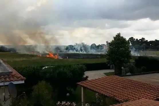 Paura a Maccarese, va a fuoco terreno agricolo: le fiamme lambiscono le case
