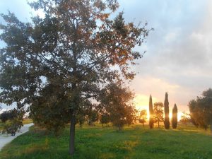 Roma – Alfonsi e Palmieri: “Riapriamo il Parco di Centocelle”