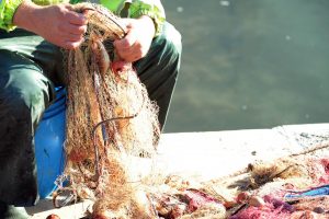 La Regione Lazio a “Slow Fish 2023” per valorizzare la filiera ittica