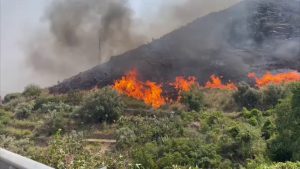 Incendio alle porte di Palermo, in fumo ettari di macchia mediterranea