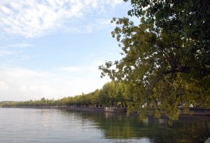 Regione Lazio condannata per la mancata salvaguardia del lago di Vico: “Sentenza storica per l’Italia”