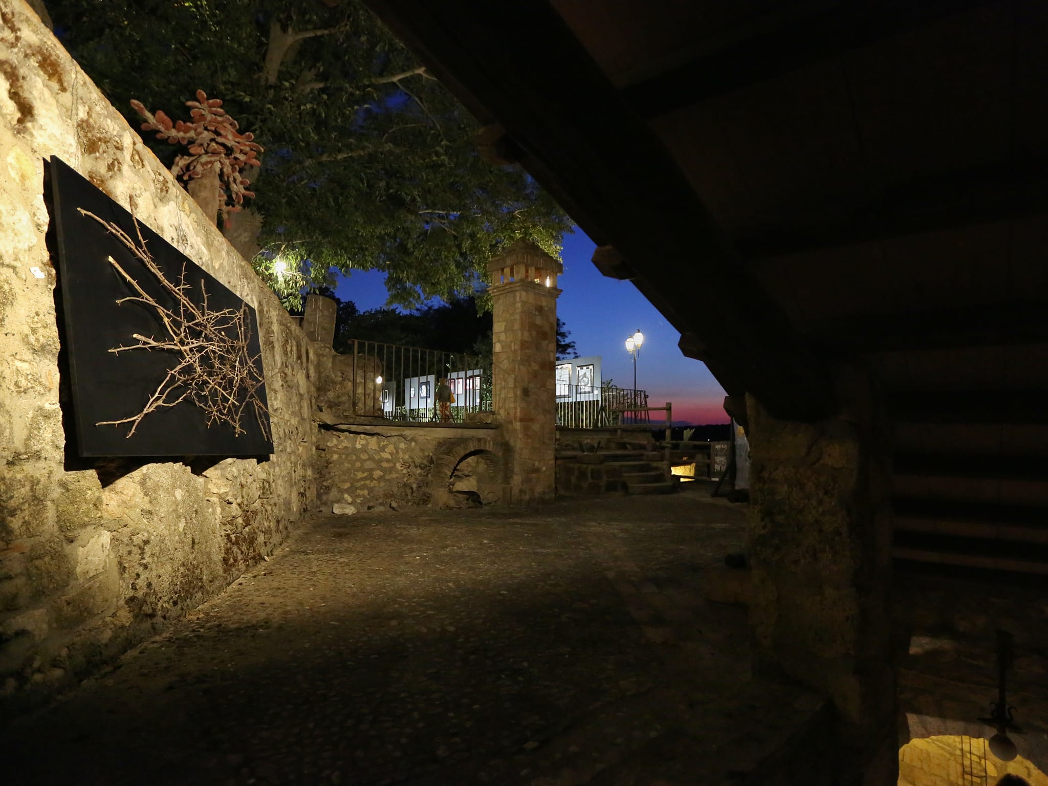 Tarquinia, al parco “Felice De Sanctis” torna la rassegna “Tra i rami dell’arte”