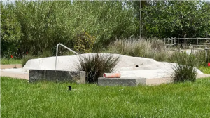 Viterbo, l’assessore Aronne sulle terme del Bagnaccio: “Bando entro 20 giorni”