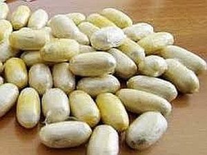 Operazione antidroga ad Aprilia: i Carabinieri arrestano pusher con addosso 31 ovuli di coca