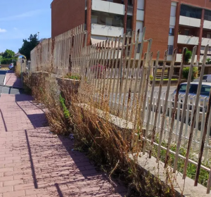 Viterbo – Sfalcio erbe infestanti, tocca al quartiere La Pila
