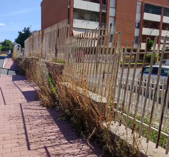 Viterbo – Prosegue la pulizia delle erbe infestanti: dove e quando