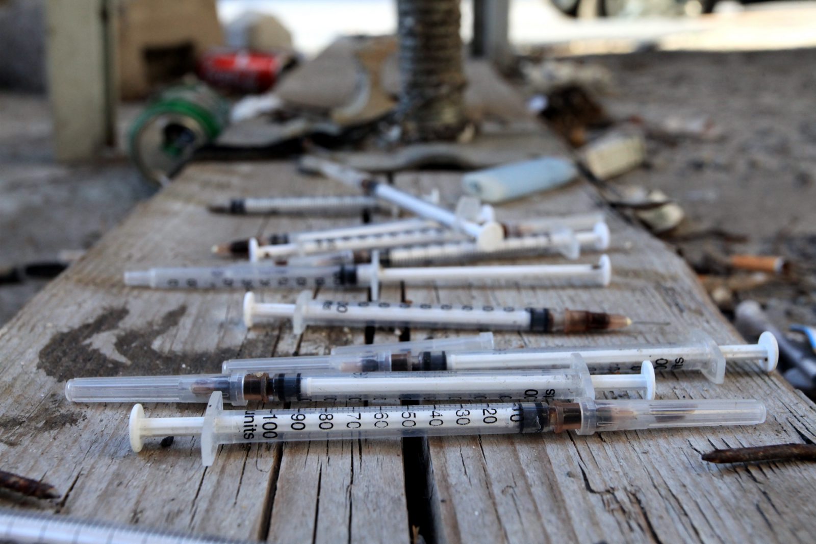 Tarquinia – Tunisino in pineta con eroina e cocaina