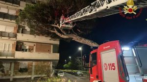 Ostia, paura nella notte: un pino marittimo si abbatte su palazzina