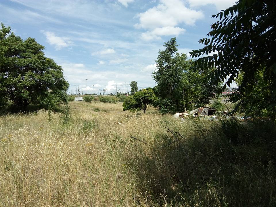 Roma – Trovato scheletro di donna in parco. Medico legale: “Lì da un anno”