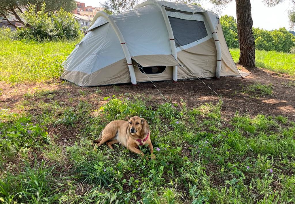 Viterbo – Alcol, droga e pestaggi nella nuova casa di Elvira e Andrea
