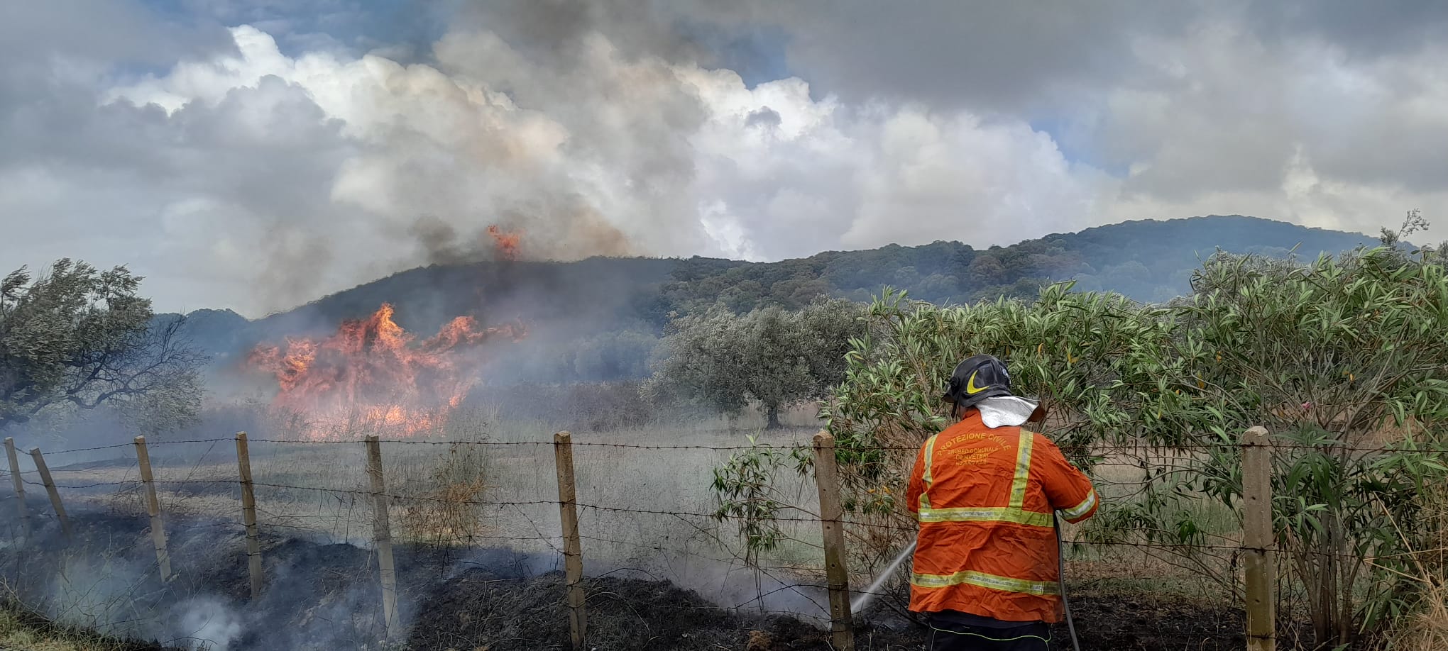 Cerveteri, vasto incendio alla Mortella: salta la linea elettrica