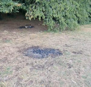 Resti di falò a ridosso della Riserva naturale del Lago di Vico: “Situazione estremamente pericolosa”