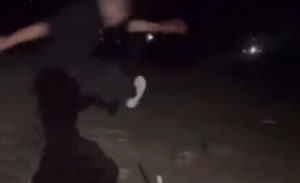 Anagni – Capretta uccisa a calci: 12 giovani denunciati, 5 sono minorenni