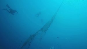 Rimosse le reti fantasma dai fondali di Favignana, le immagini