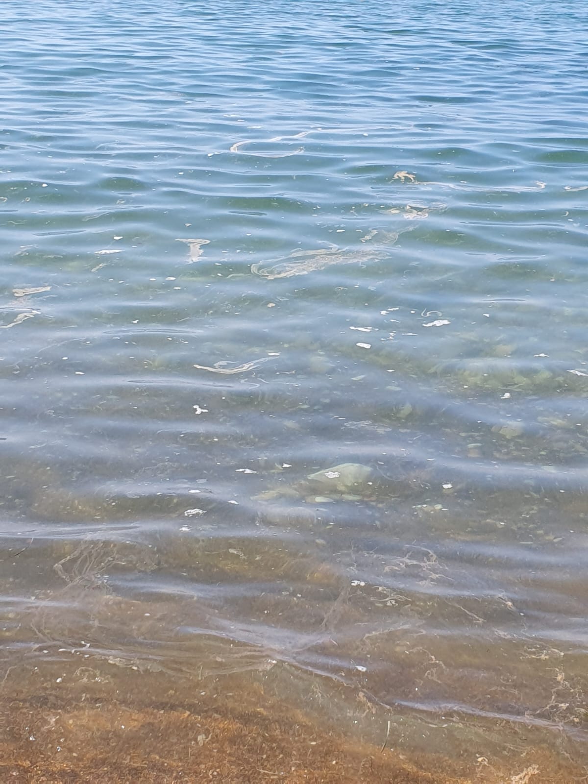 Procida – Cadavere sulla spiaggia, indagano i carabinieri