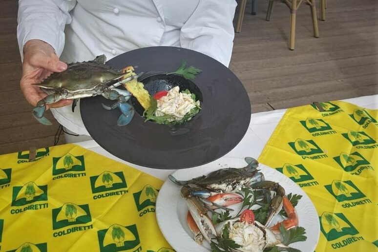 Dall’insalata agli spaghetti, il granchio blu arriva a tavola