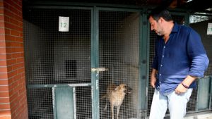 Viterbo – Lega Viterbo: “No all’abbandono. Bene Salvini su sospensione e revoca patente”