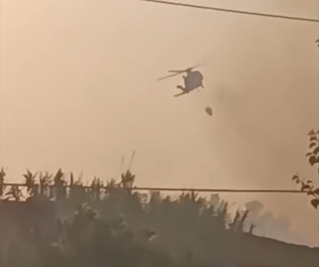 Latina – Vasto incendio a Torre Astura minaccia bagnanti, evacuata spiaggia