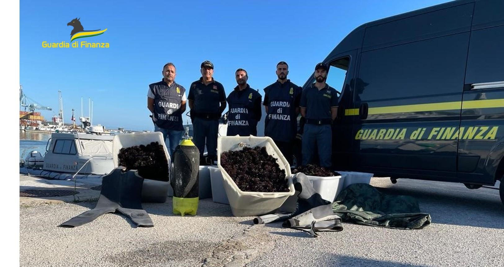 Pesca illegale, la Finanza ferma tre sub e sequestra diecimila ricci di mare