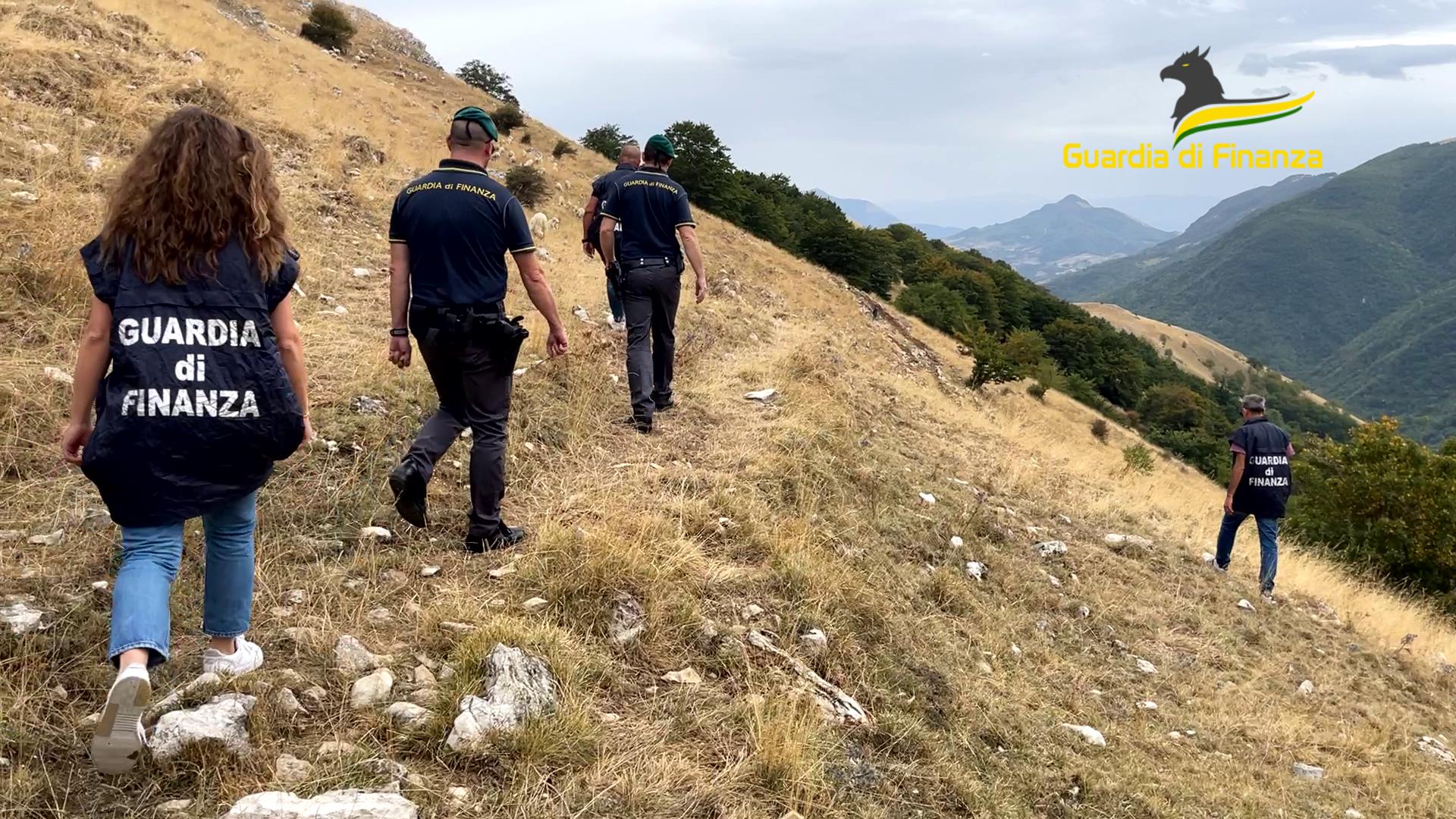 Maxi–operazione “Transumanza” con la DDA di L’Aquila. Pascoli-fantasma e mafia foggiana