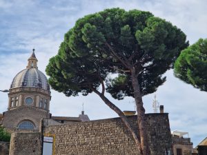 375175682_808825657910742_2632771811071605829_n