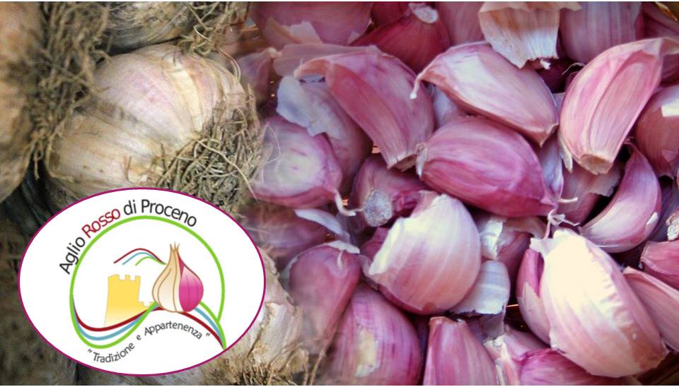 Degustazioni e seminari per il Festival dell’Aglio Rosso di Proceno
