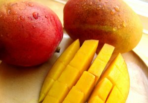 Latina – Coldiretti, al via raccolta mango