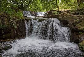Aria & Natura: trekking, mtb e sport al parco Valle del Treja