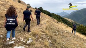 Maxi truffa all’Ue per “pascoli fantasma”, arresti e sequestri