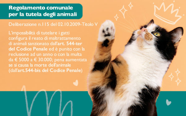 Viterbo – Colonie feline protette e segnalate da cartellonistica