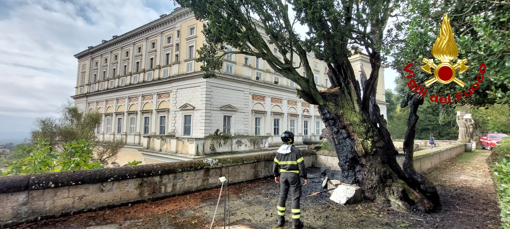 Caprarola – Fulmine colpisce monumentale albero di Palazzo Farnese, intervento dei vigili del fuoco