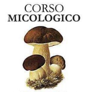 Tarquinia – Corso micologico per conoscere i funghi