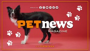PetNews Magazine – 26/9/2023