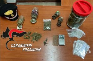 Ceccano – Coltiva marijuana nel giardino della madre, 57enne arrestato