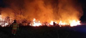 Cerveteri, vasto incendio in Via Zambra: casolari salvati dalla Protezione Civile