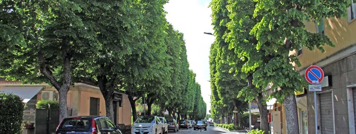 Viterbo – Schiaffo al volto di un poliziotto, daspo Willy per due giovani