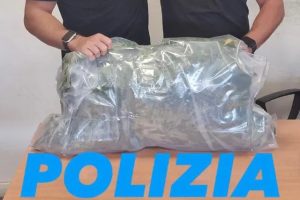 Ladispoli, ha in giardino piante di canapa indiana alte due metri: denunciato 44enne rumeno