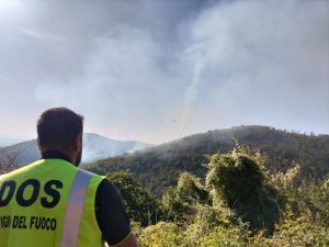 A Canepina dodici ettari di bosco in fiamme, cattivo odore fino a Viterbo