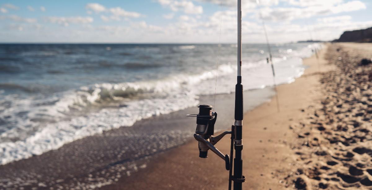 Lazio – Regione, approvata strategia di sviluppo locale presentata da Gal Pesca