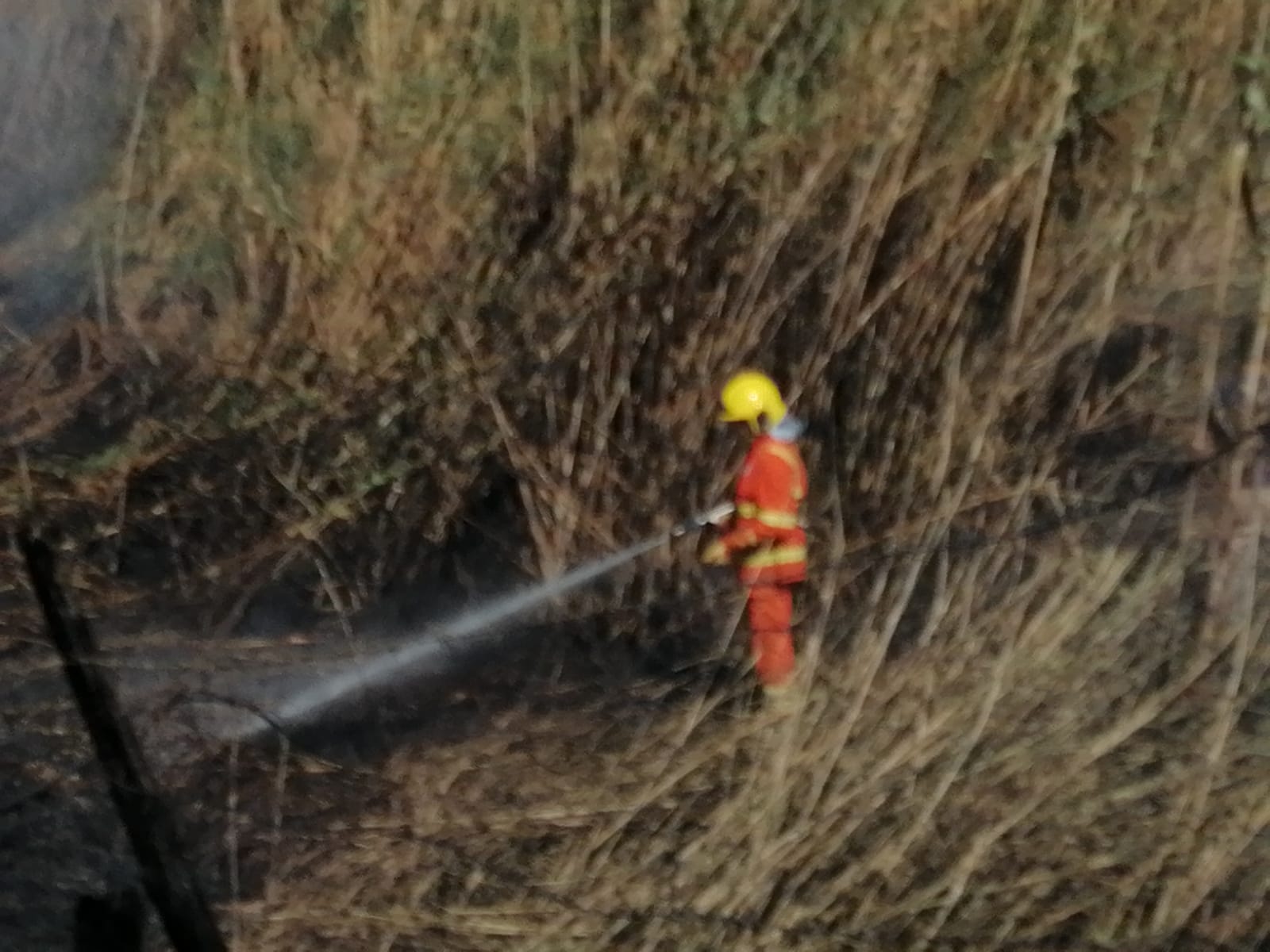 Cerveteri, brucia terreno incolto a Borgo San Martino: trovati diversi focolai