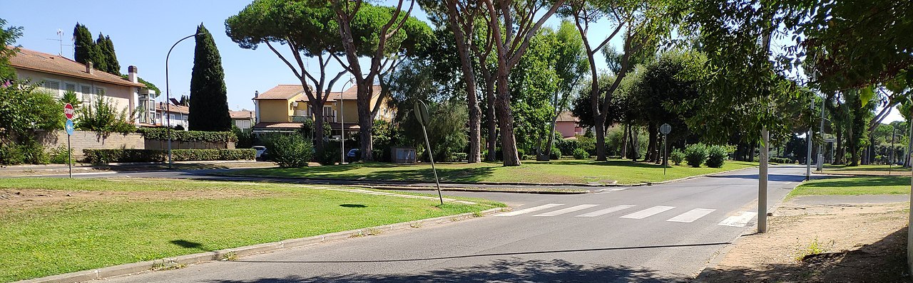 Roma, perché tagliare i Pini di Casal Palocco?