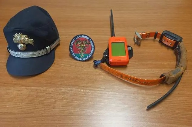 Cantalice, scosse elettriche al cane per addestrarlo: denunciato 76enne