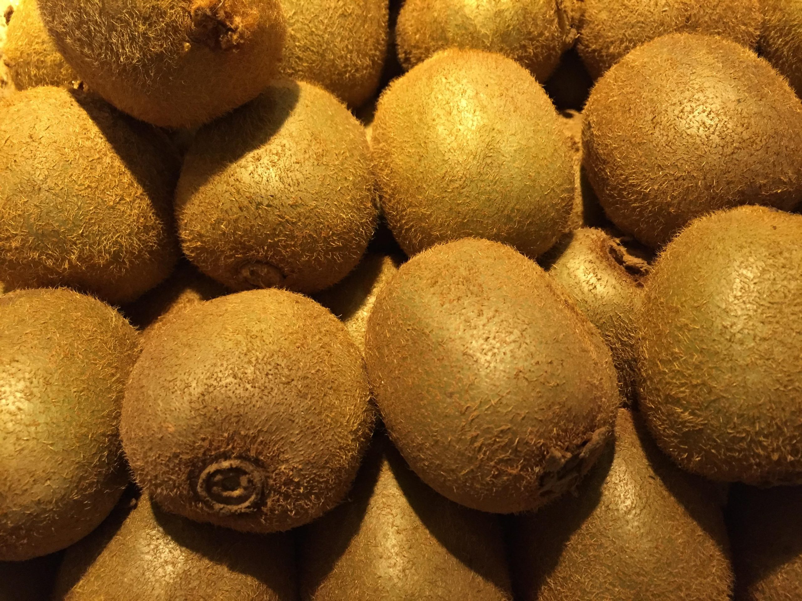 Moria del kiwi nel Pontino, oggi a Cisterna consiglio comunale straordinario