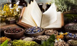 All’Orto Botanico di Viterbo due giornate dedicate a Fitoterapia e Nutriterapia