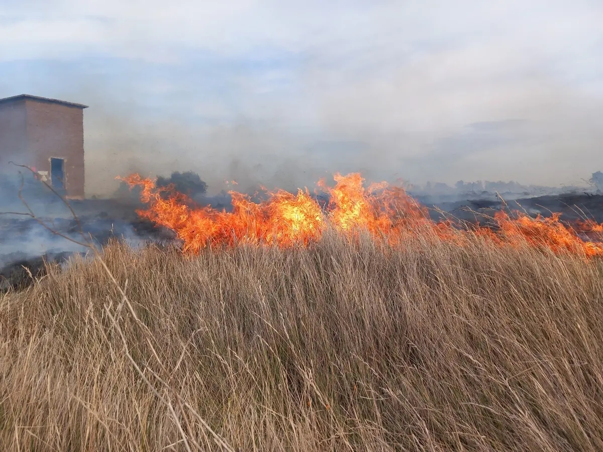 Tarquinia – Incendio di sterpaglie alle Saline
