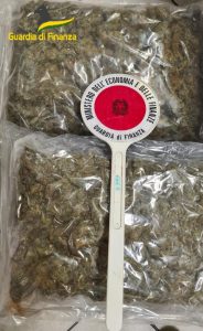 Aprilia – Gdf ferma corriere con 135 chili di marijuana, arrestato