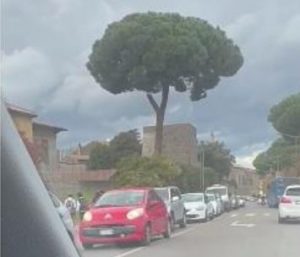 Viterbo – Traffico in tilt, l’assessore Aronne invita i cittadini alla pazienza