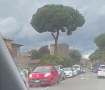 Viterbo – Traffico in tilt, l’assessore Aronne invita i cittadini alla pazienza