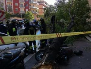 Roma – Donna muore travolta e schiacciata da albero caduto a via Donna Olimpia
